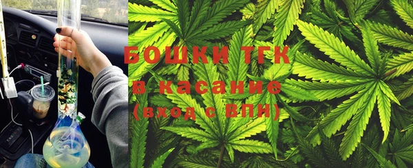 индика Балахна