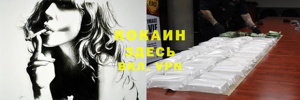 индика Балахна