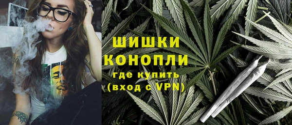 индика Балахна