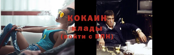 индика Балахна