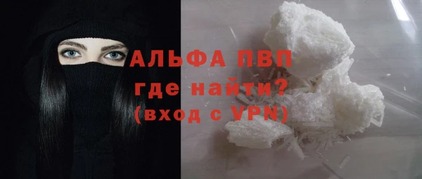 индика Балахна
