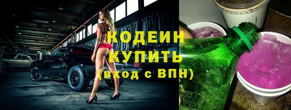 индика Балахна