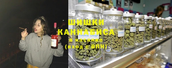 индика Балахна