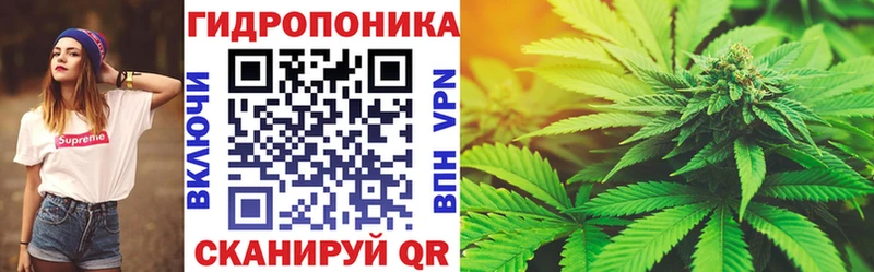 Бошки марихуана индика  маркетплейс формула  Нерюнгри  дарнет шоп 